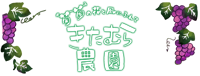 きたむら農園｜のんびりとした緑あふれるぶどう畑。石川県加賀市